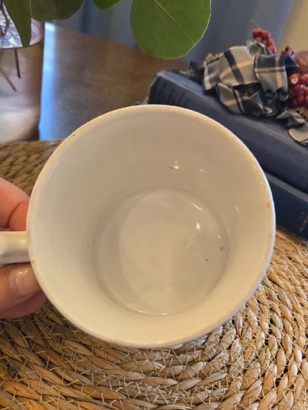 Antique Ironstone Shaving Mug